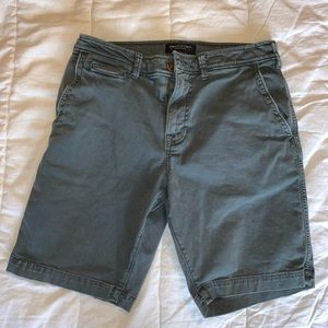 American Eagle Outfitters Flat Front Shorts